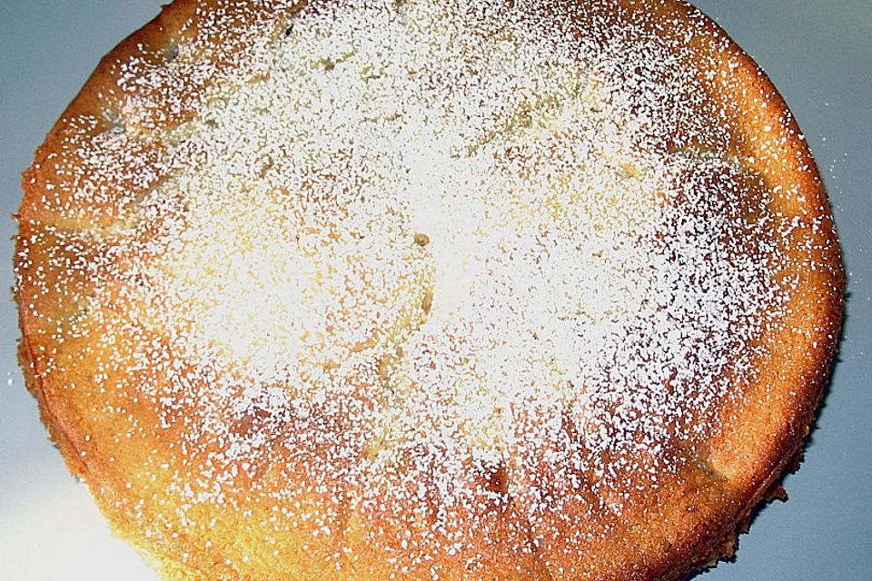 Aprikosenkuchen