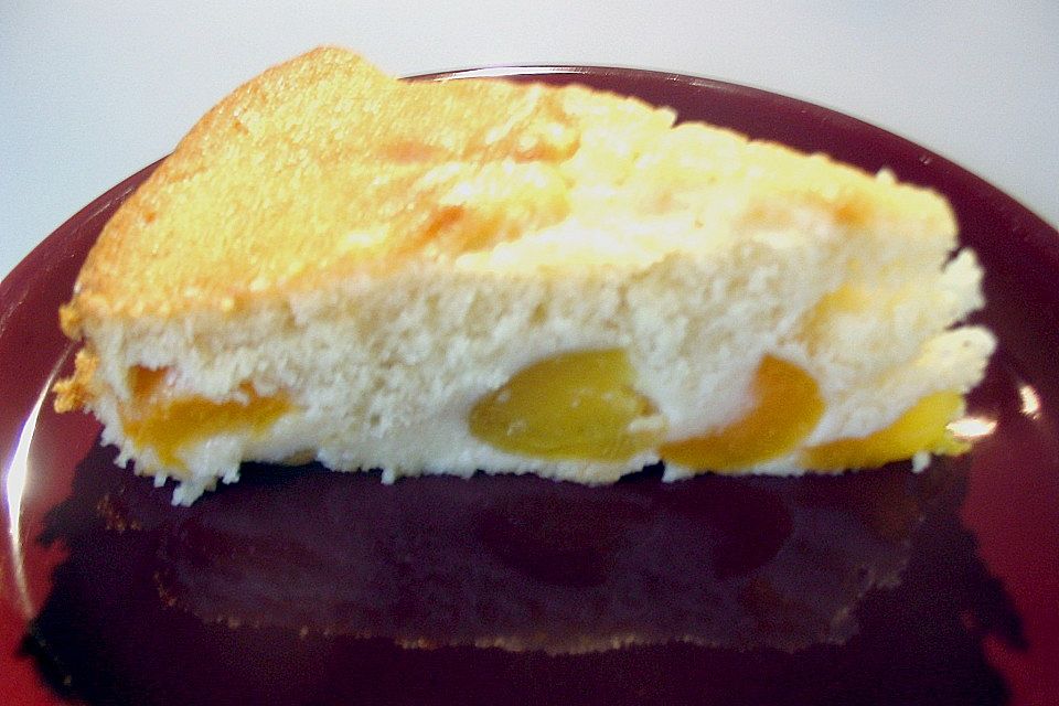 Aprikosenkuchen