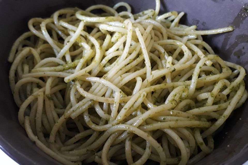 Pasta mit Bärlauchpesto