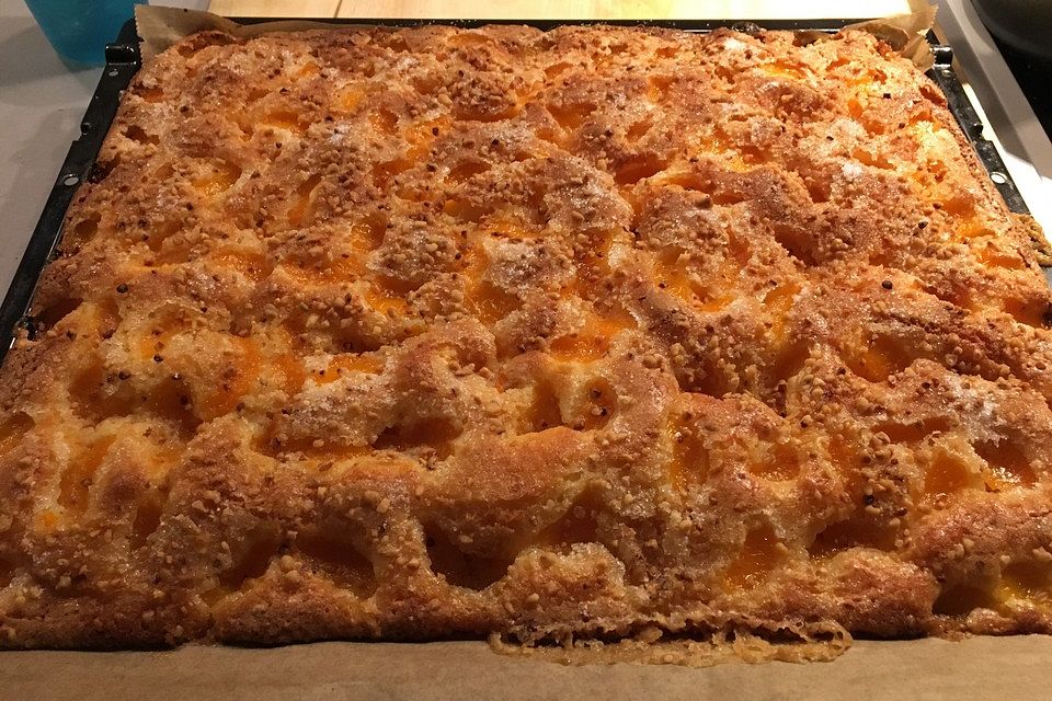 Mandarinen Blechkuchen