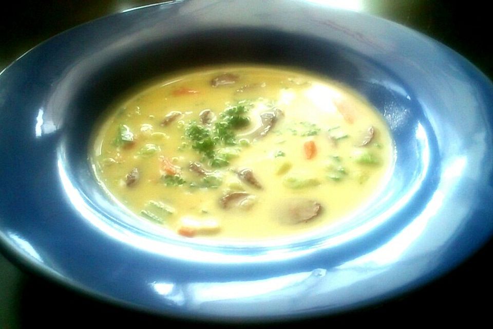 Cabanossi-Käse-Suppe