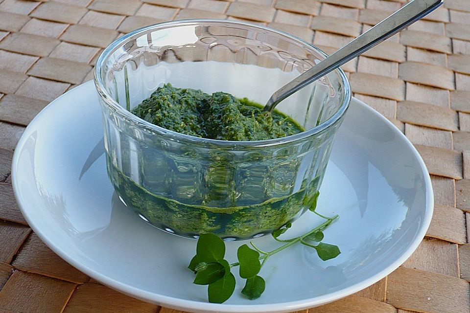 Vogelmiere - Pesto