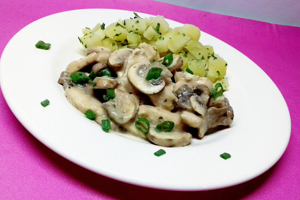 Puten - Pilz - Pfanne