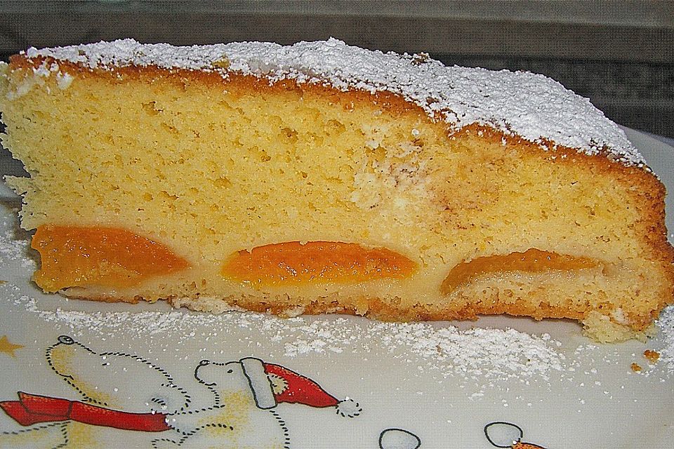 Marillenkuchen  - mit versunkenen Marillen