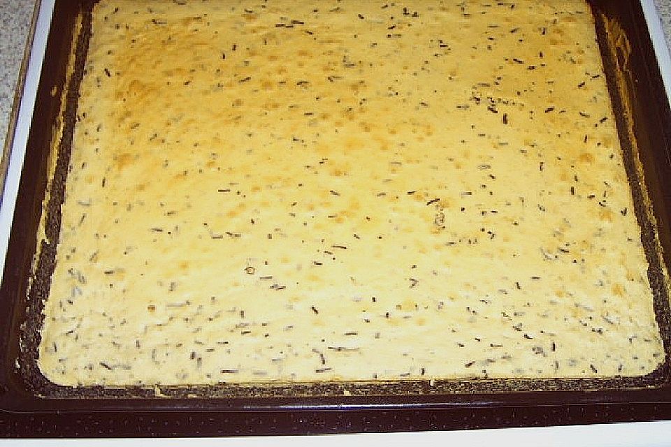 Saftiger Ameisenkuchen