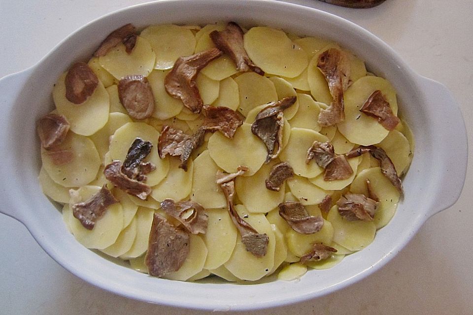 Kartoffelgratin mit Steinpilzsahne