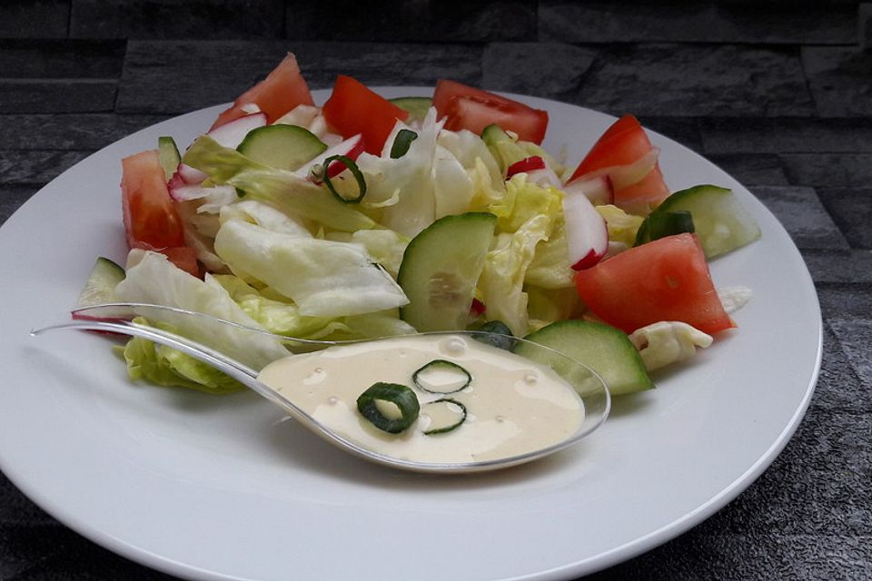 Joghurt - Honig - Senf Salatdressing