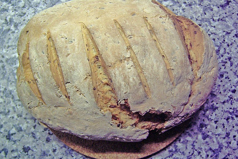 Brot für Eilige