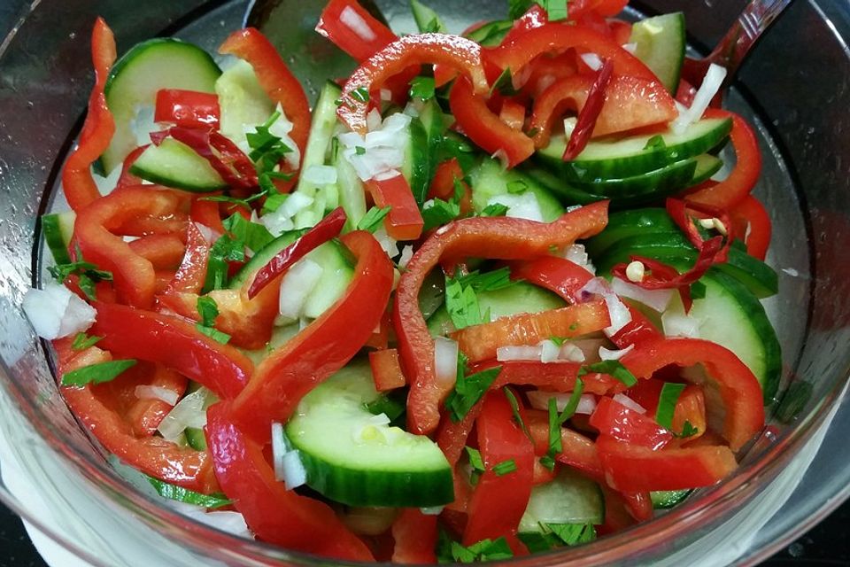 Feuriger Paprika - Gurken - Salat