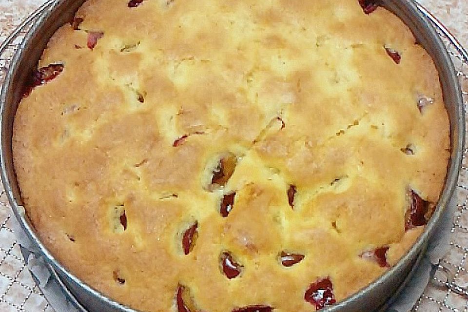 Rührkuchen - Palette (Zwetschgen Kuchen)