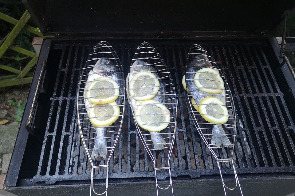 Dorade gegrillt