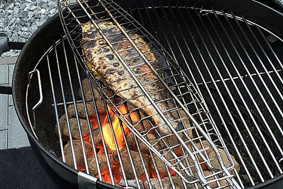 Dorade gegrillt