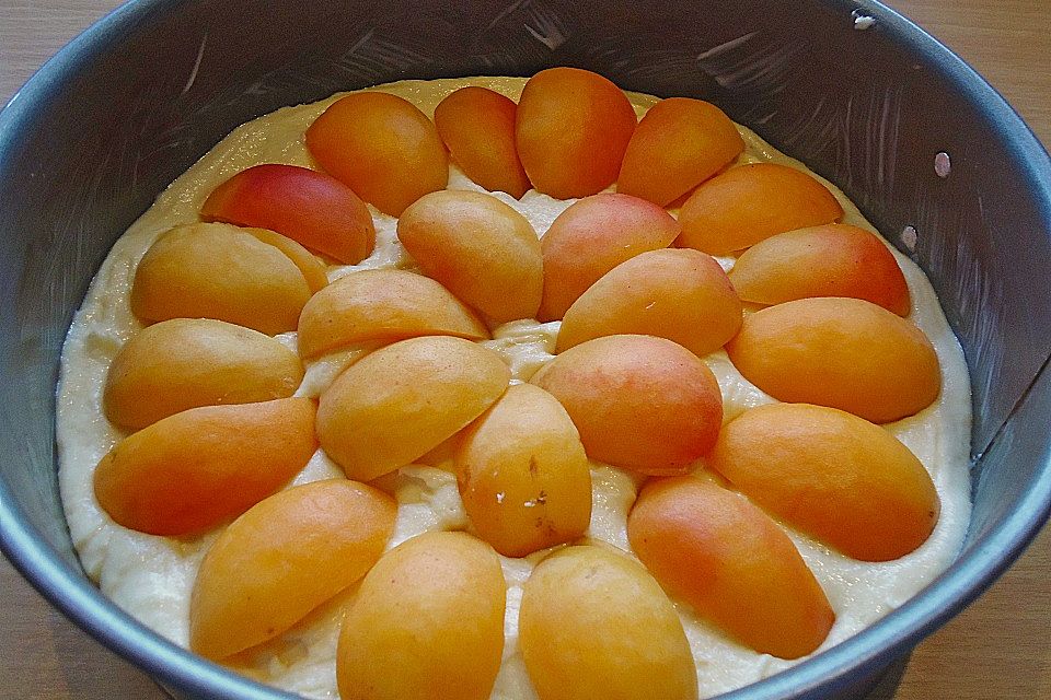 Marillenkuchen mit Vanillehäubchen