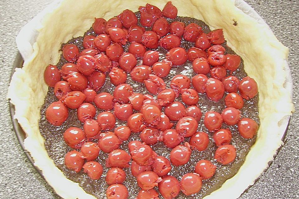 Käse - Mohn - Kuchen