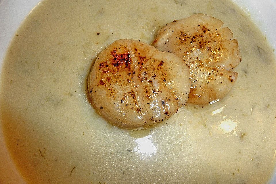 Fenchelsamtsuppe mit Jakobsmuscheln