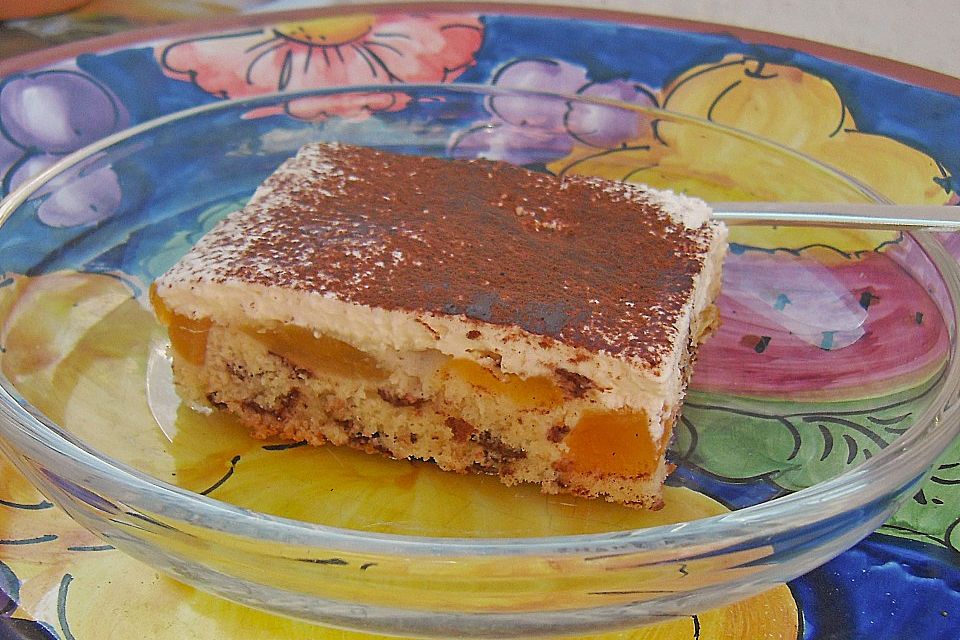 Schoko - Aprikosen - Kuchen