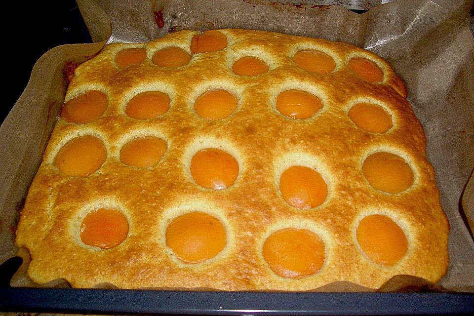 Aprikosenkuchen