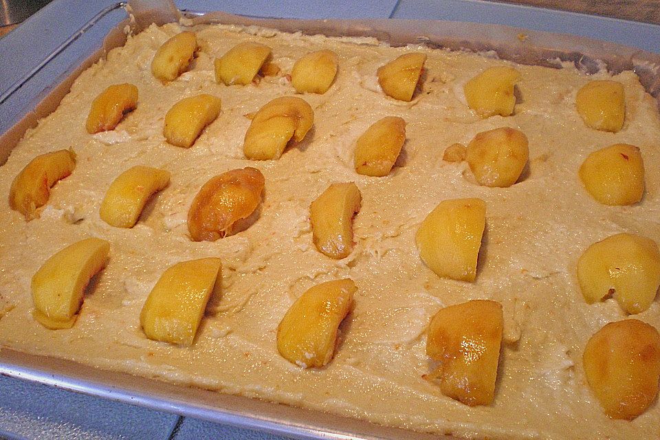 Aprikosenkuchen