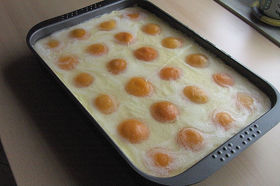 Aprikosenkuchen / Spiegeleierkuchen