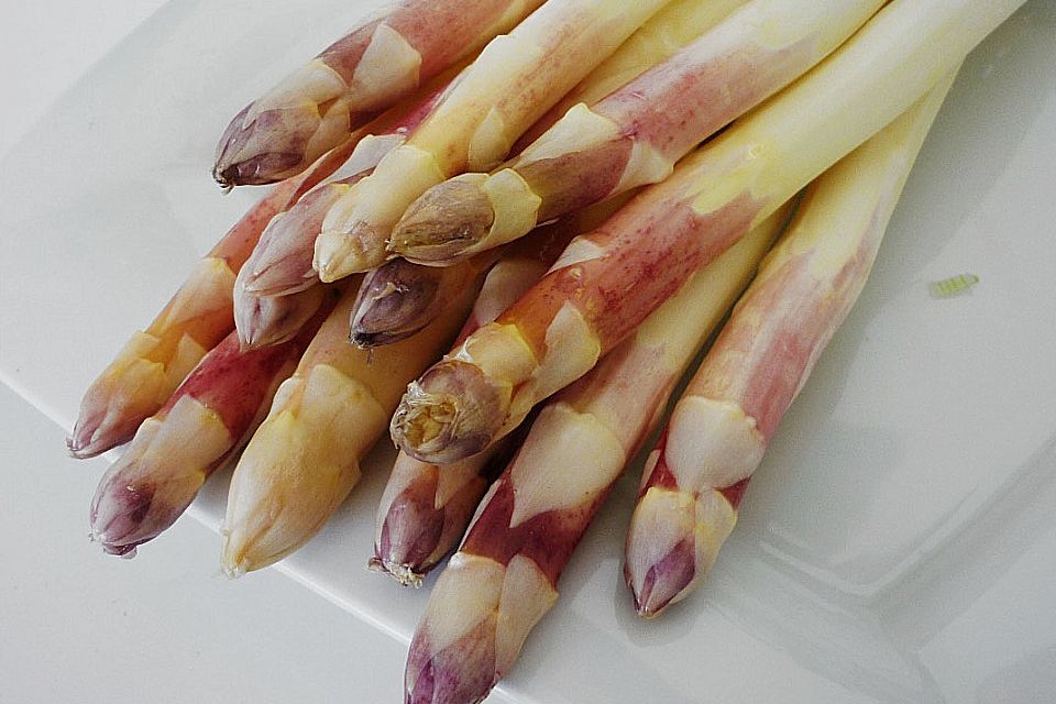 Spargel - Gemüse