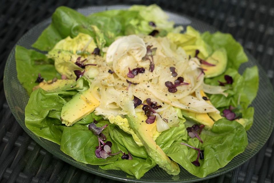 Avocado - Fenchel - Salat