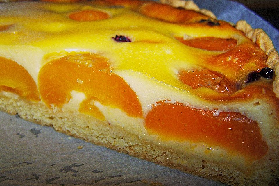 Marillenkuchen mit Marzipanguss