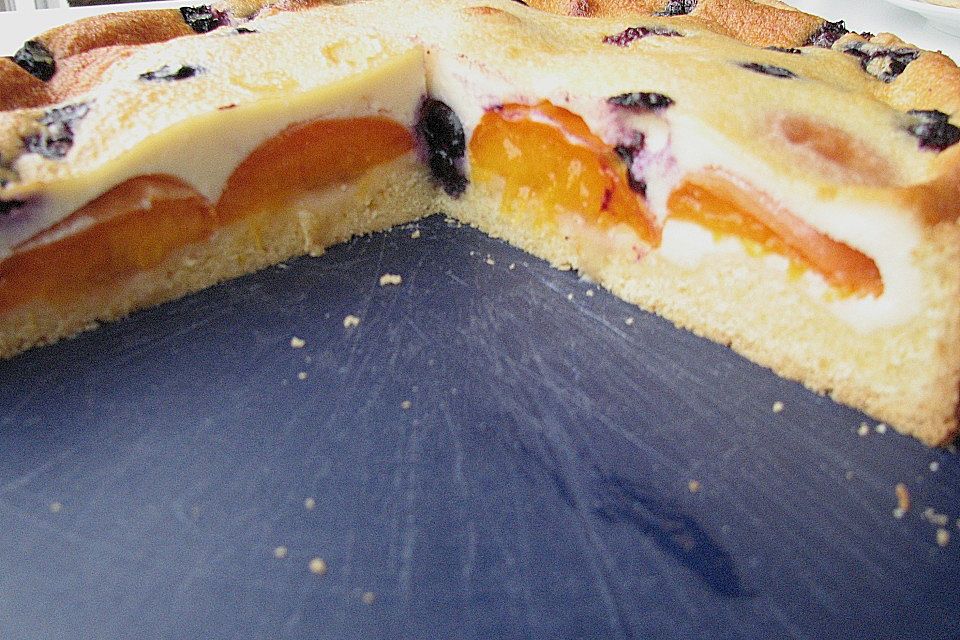 Marillenkuchen mit Marzipanguss