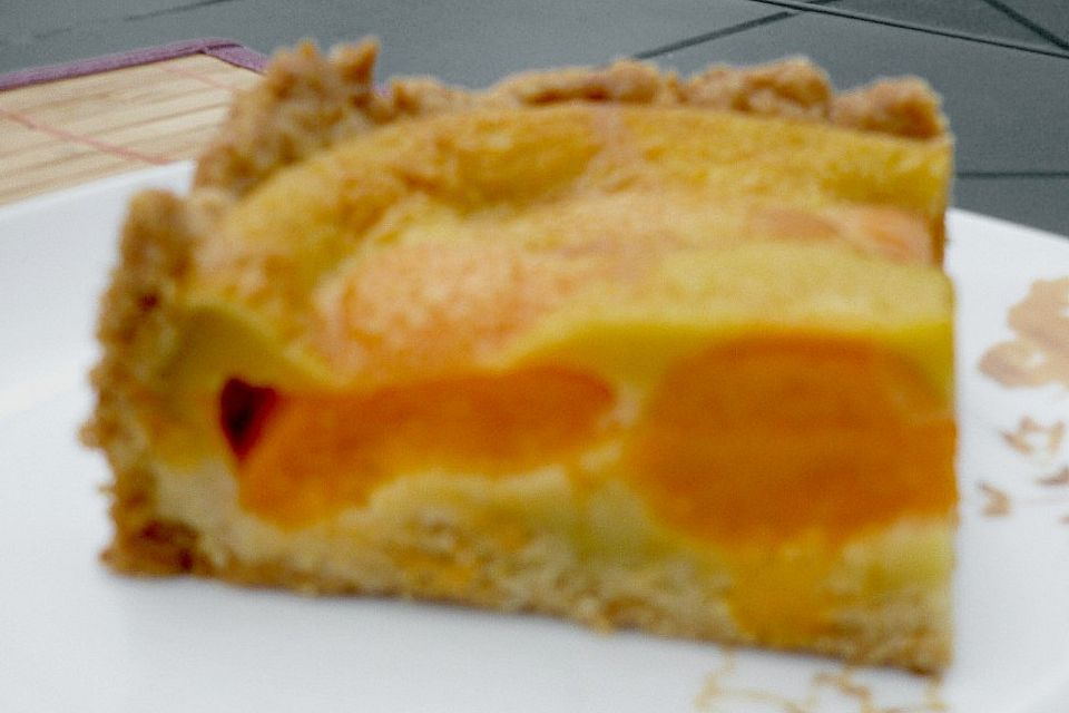 Marillenkuchen mit Marzipanguss