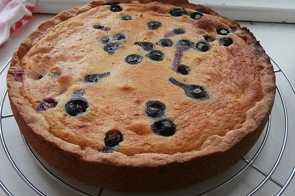 Marillenkuchen mit Marzipanguss