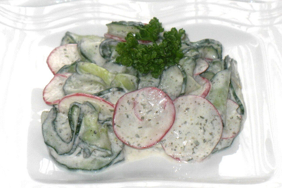 Radieschen - Gurken - Salat