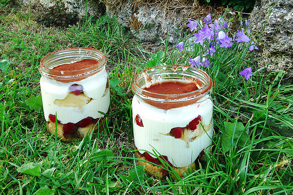 Himbeer-Tiramisu