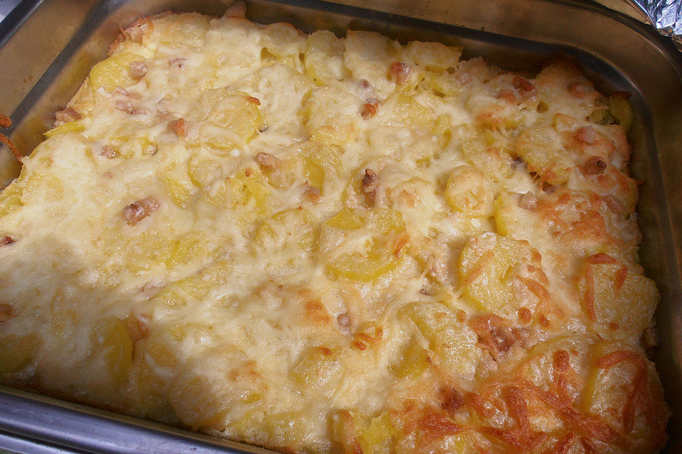 Kartoffelgratin mit Käse