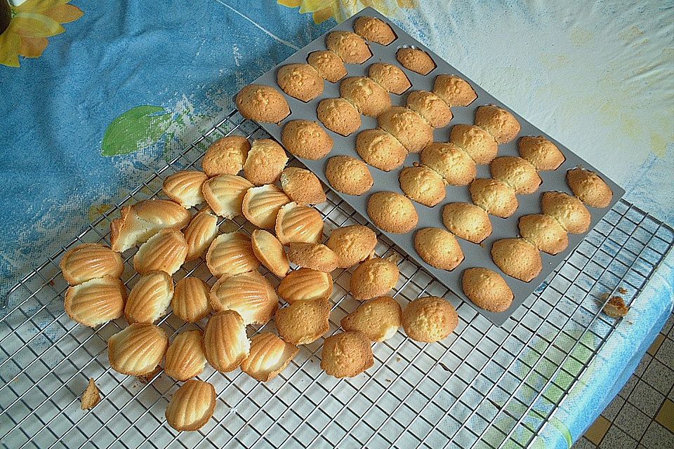 Original Madeleines