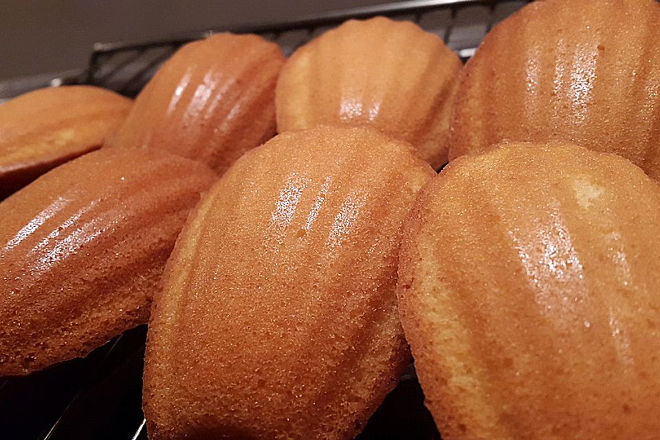 Original Madeleines