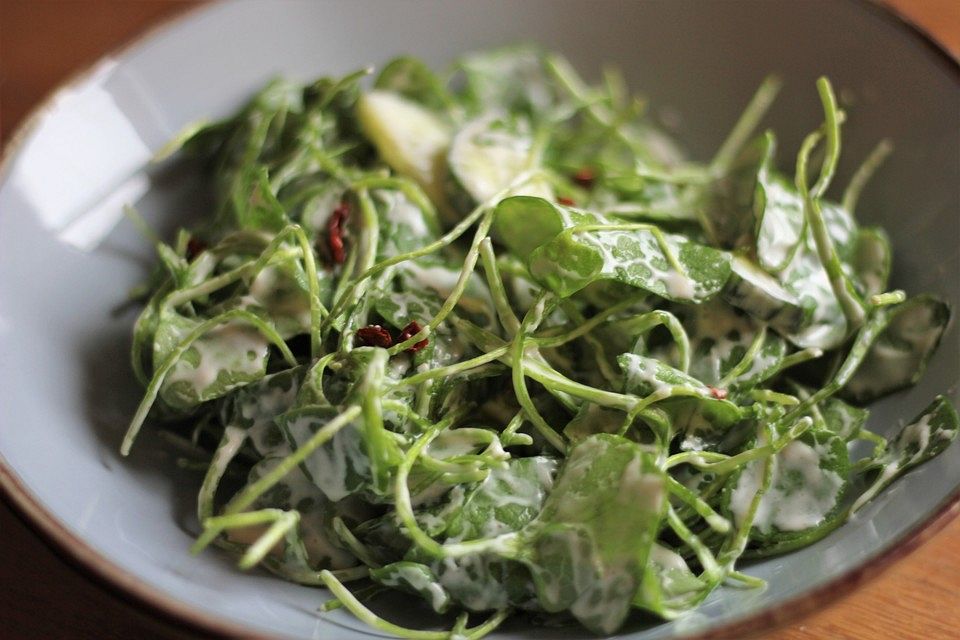 Portulaksalat mit Joghurt