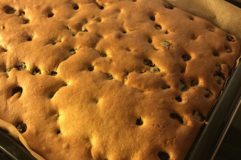 Kirschkuchen vom Blech