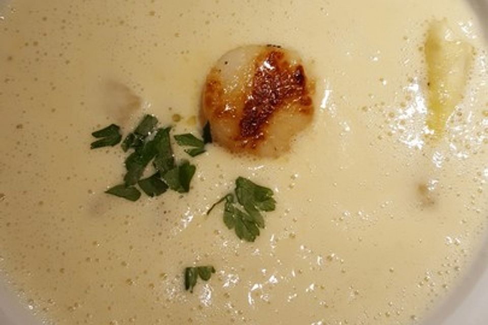 Spargelsuppe mit gegrillten Jakobsmuscheln