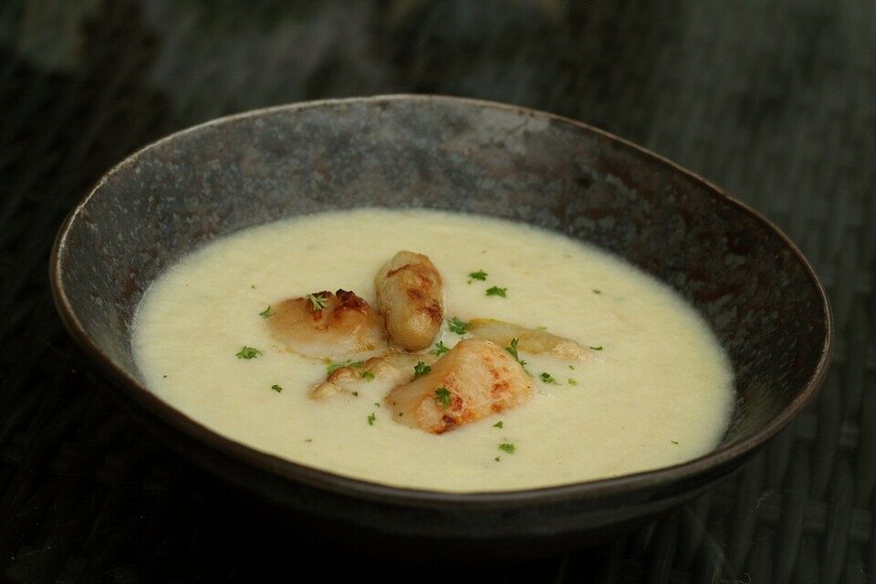 Spargelsuppe mit gegrillten Jakobsmuscheln