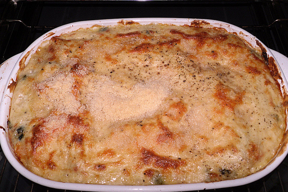 Lachs - Lasagne