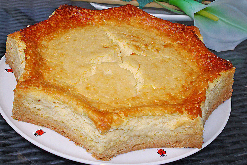 Orangen - Käsekuchen