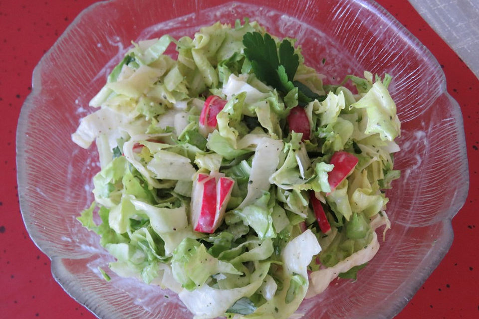 Endiviensalat mit Zwiebel - Sahnedressing