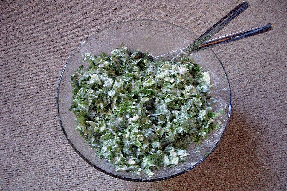 Endiviensalat mit Zwiebel - Sahnedressing