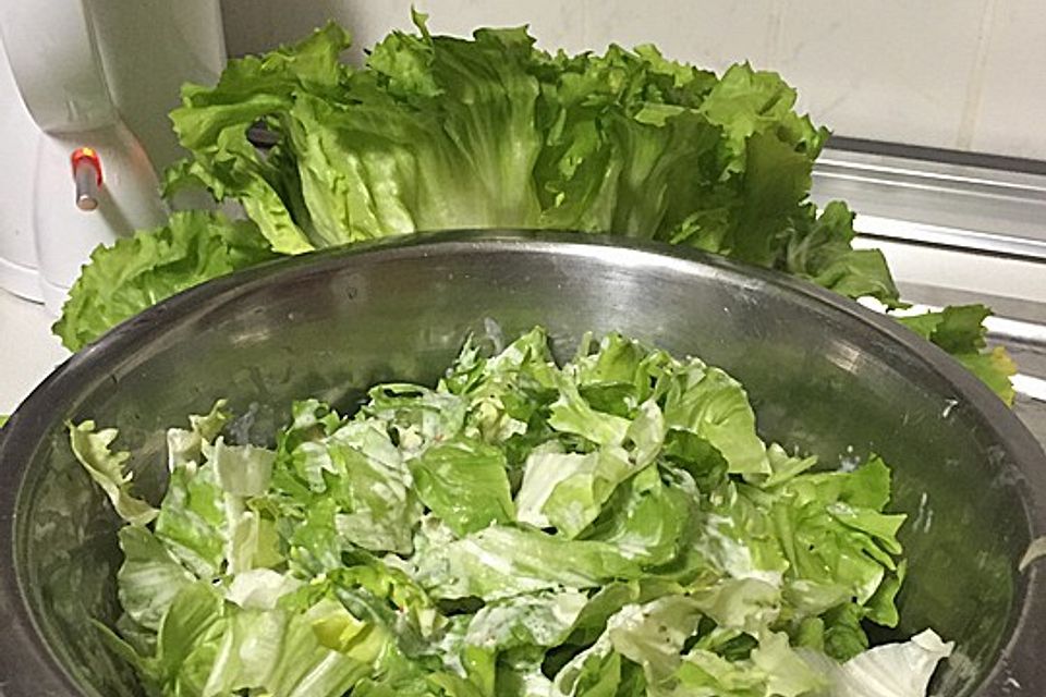 Endiviensalat mit Zwiebel - Sahnedressing