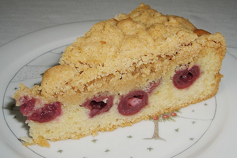 Kirschkuchen mit Butterstreusel