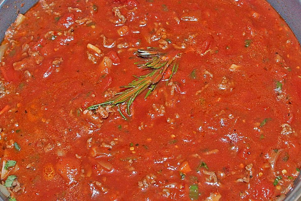 Leichte Bolognese Sauce