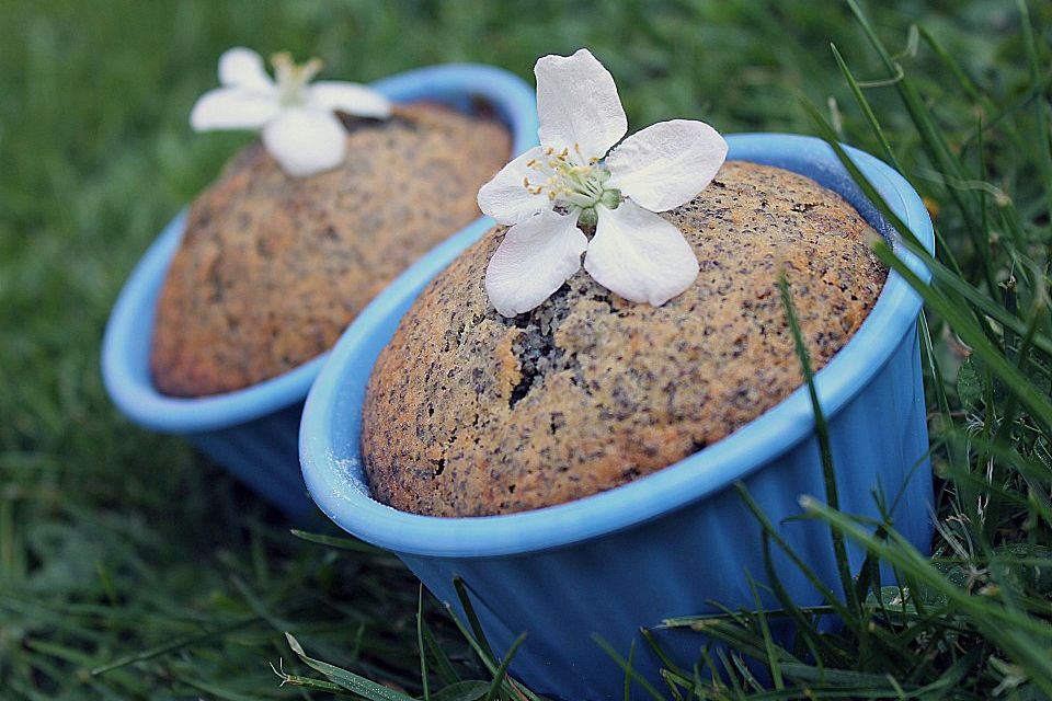 Rhabarber - Mohn - Muffins