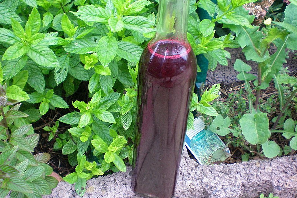 Cassis - Balsamico