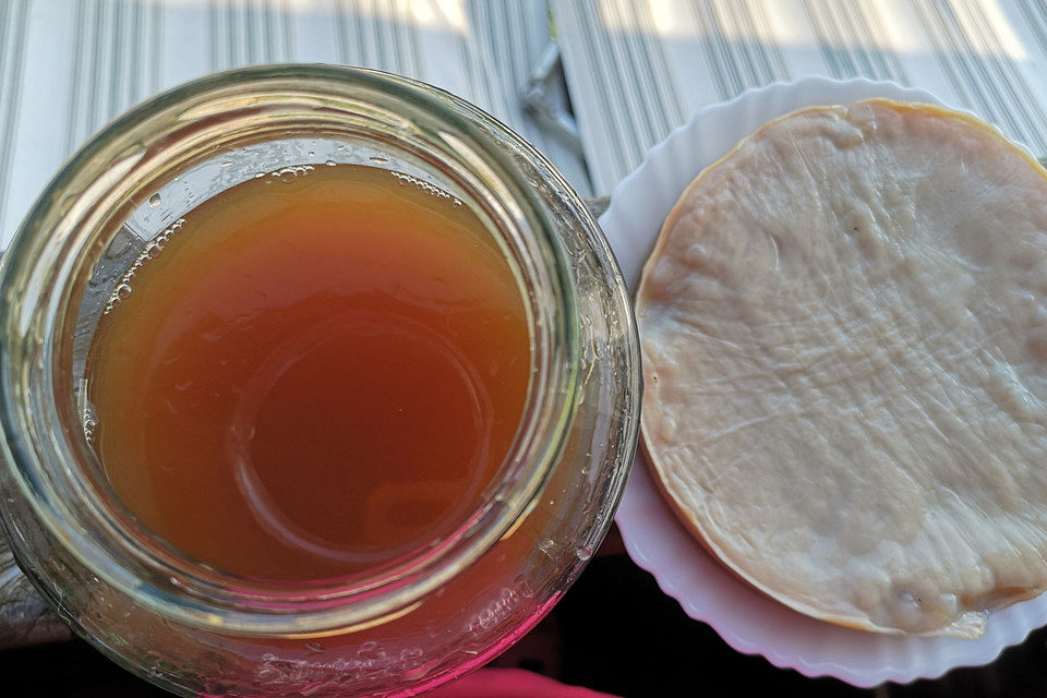 KOMBUCHA - Grundrezept