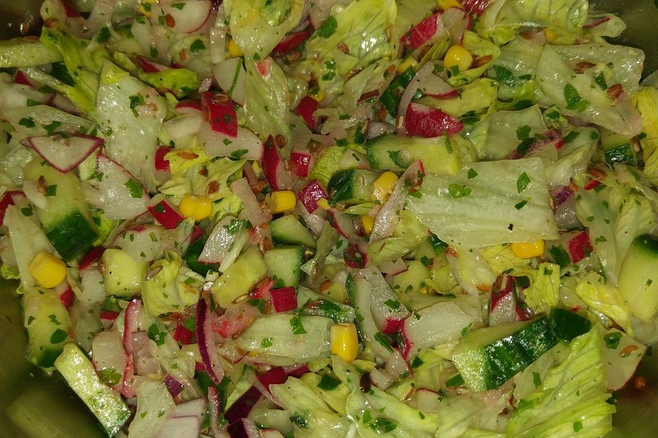 Radieschen - Gurken Salat