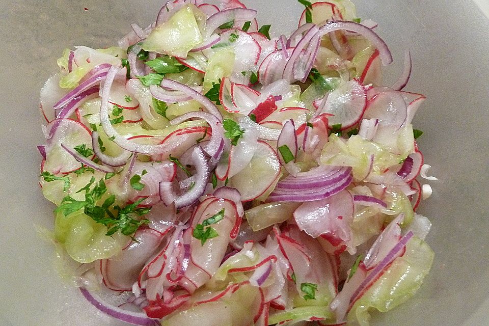 Radieschen - Gurken Salat